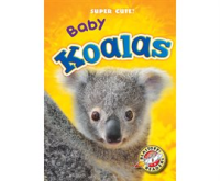 Baby_Koalas